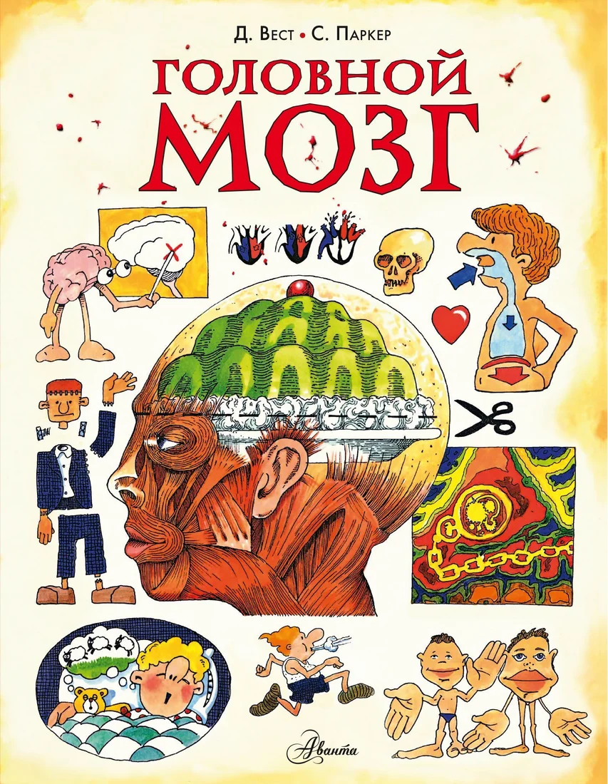 АСТ. Головной мозг (Стив Паркер)