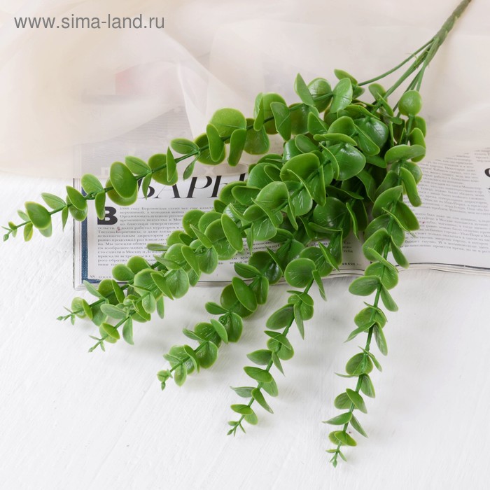 Букет искусственный «Эвкалипт», h=45 см