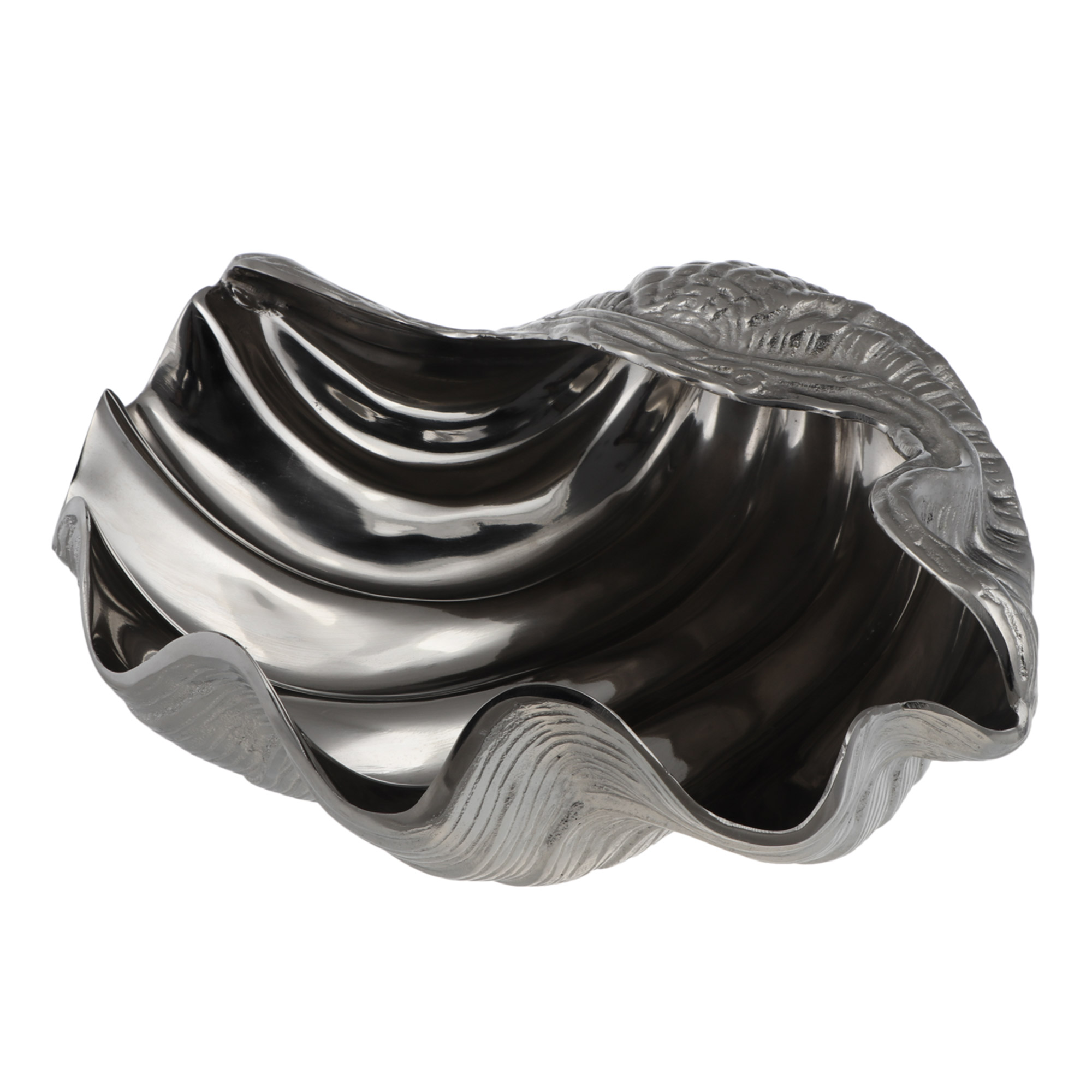 Декоративная раковина морская Universal ark shell 19х38х12