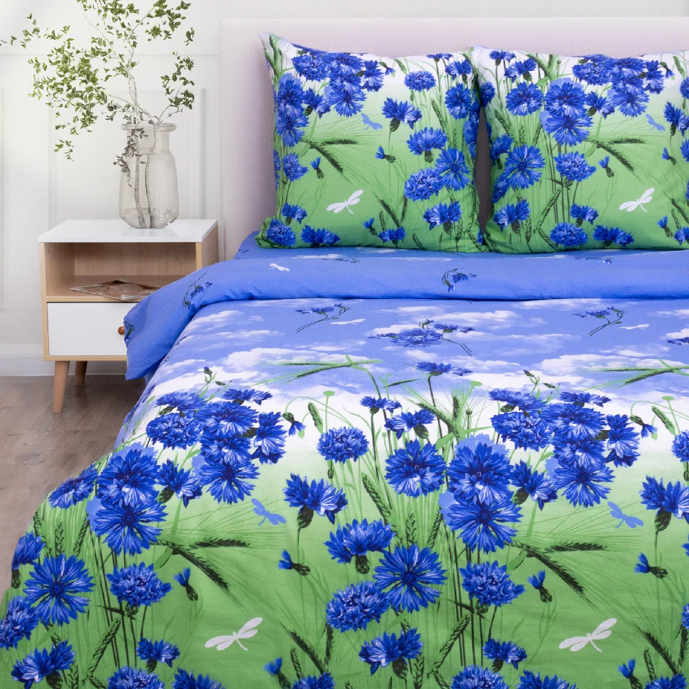 Евро комплект постельного белья Василиса Delight Евро 70x70 3422/1