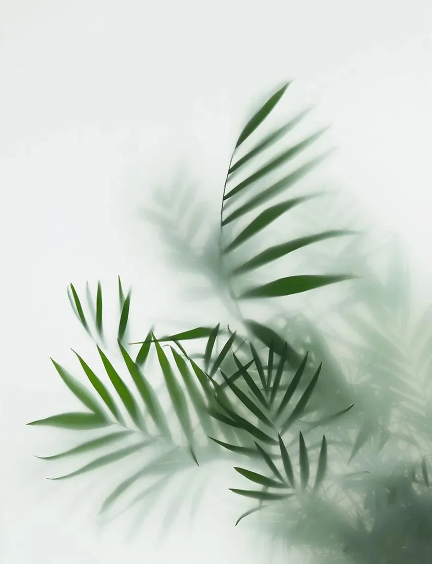 Фотообои Citydecor Цветы и Растения 155 200x260