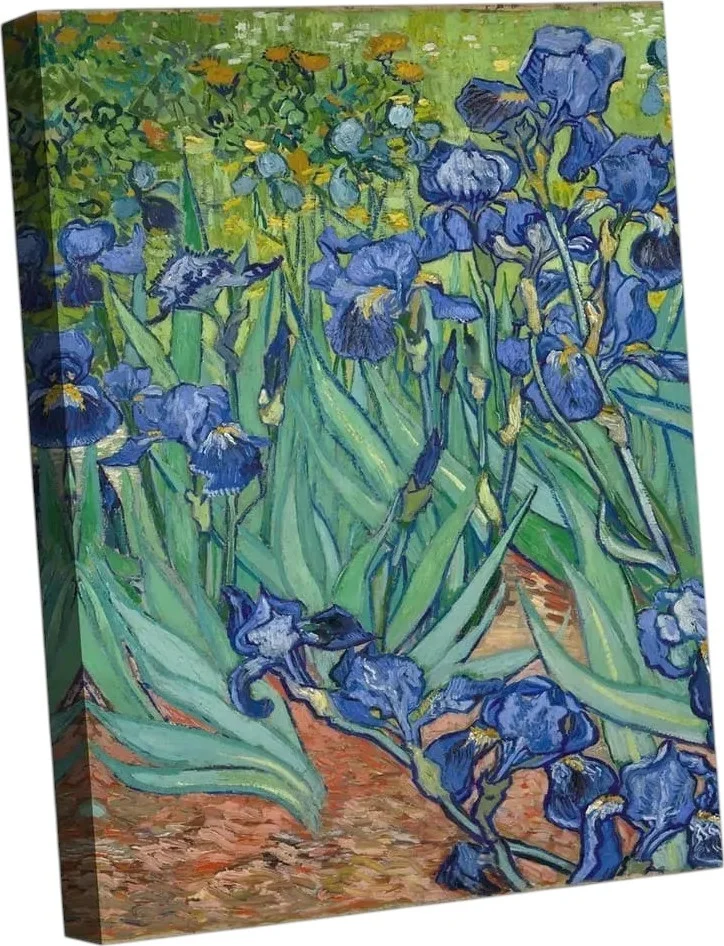 Картина Citydecor Ирисы Винсент ван Гог 1.195 (90x60)