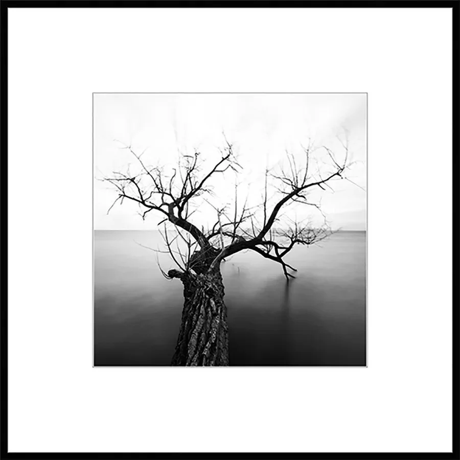 Картина Stamprint Природа 2 BW002 (50x50)