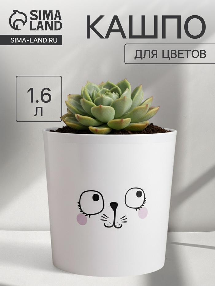 Кашпо для цветов «Мордочка», 1.6 л, d=14 см, h=14 см, пластиковое