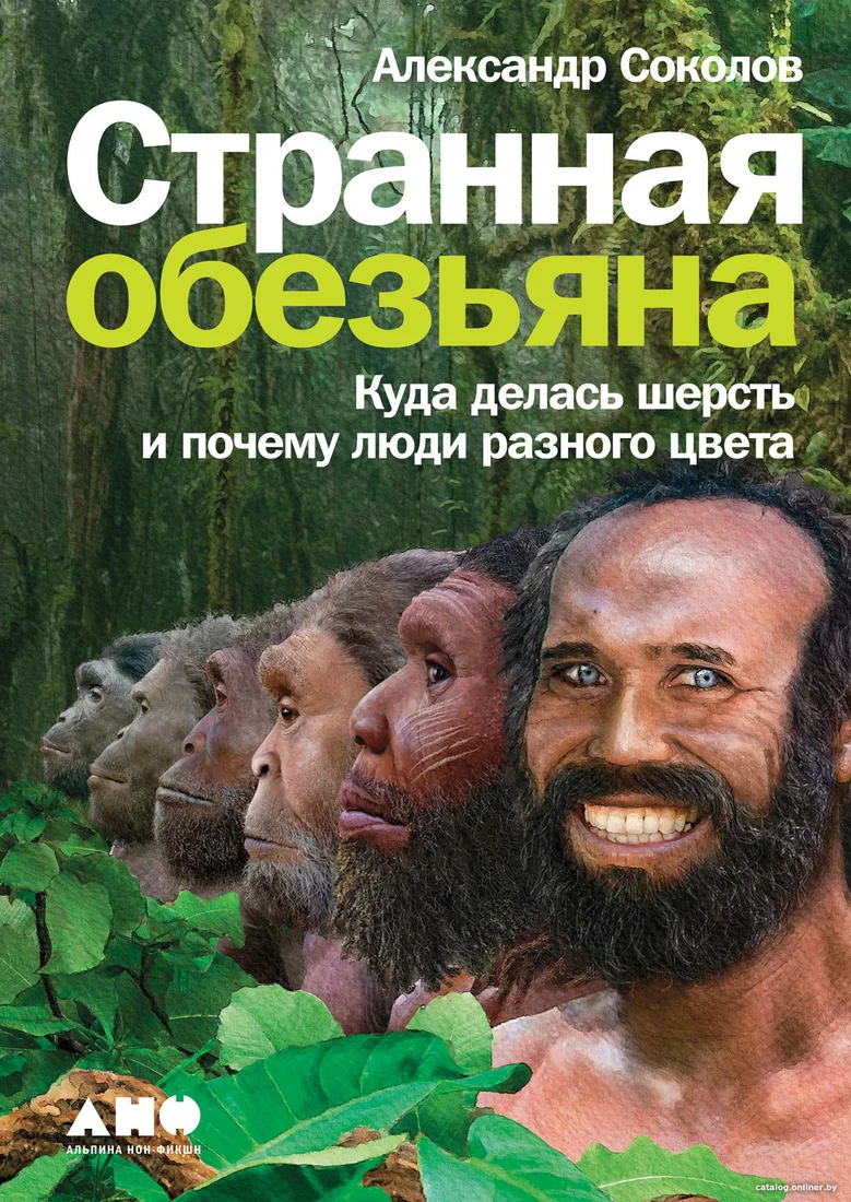 Книга издательства Альпина Диджитал. Странная обезьяна. Куда делась шерсть (Соколов А.)