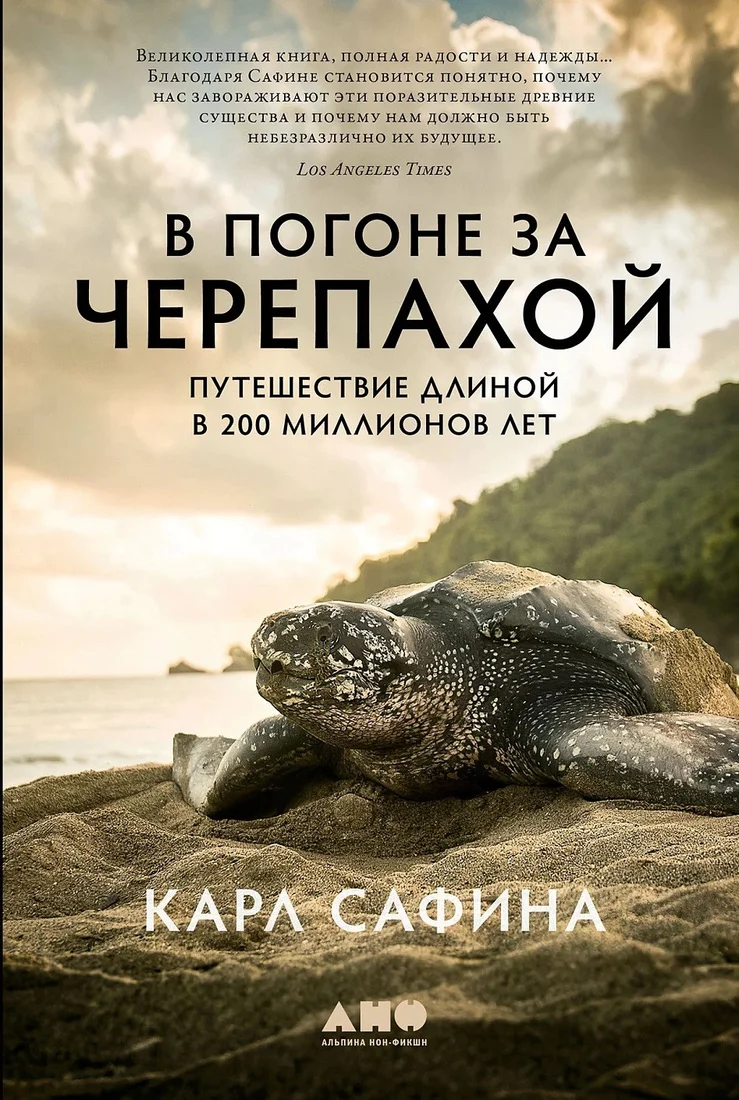 Книга издательства Альпина Диджитал. В погоне за черепахой (Сафина К.)