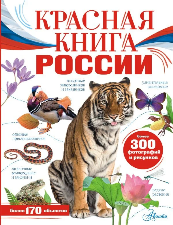 Книга издательства АСТ. Красная книга России. Моя Россия (Пескова И., Снегирева Е.)