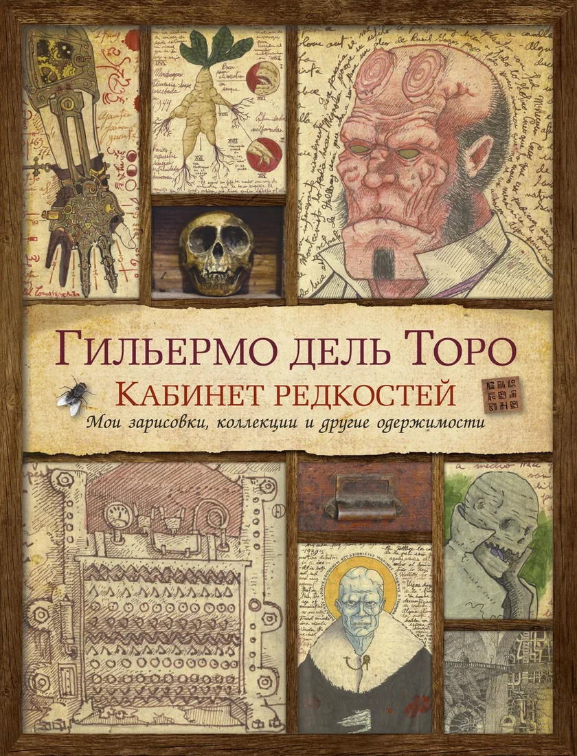 Книга издательства Азбука. Кабинет редкостей. Мои зарисовки, коллекции (Дель Торо Г.)