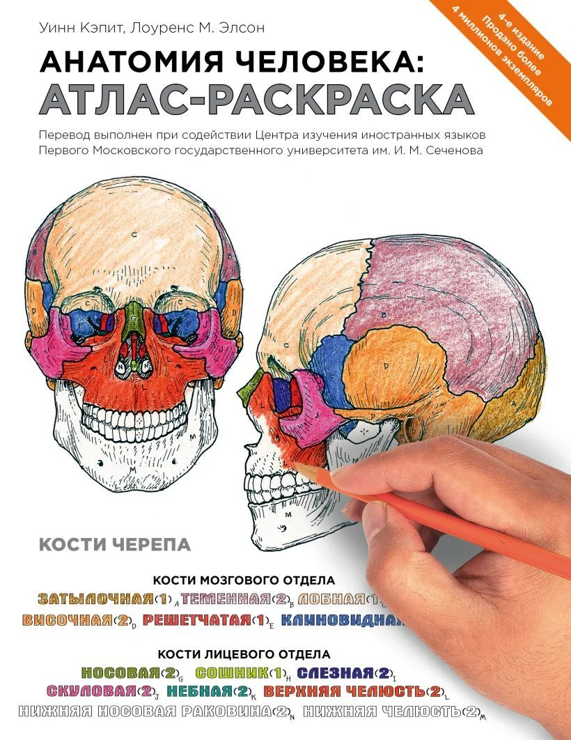 Книга издательства Эксмо. Анатомия человека: атлас-раскраска (Элсон Лоренс/Кэпит Уинн)