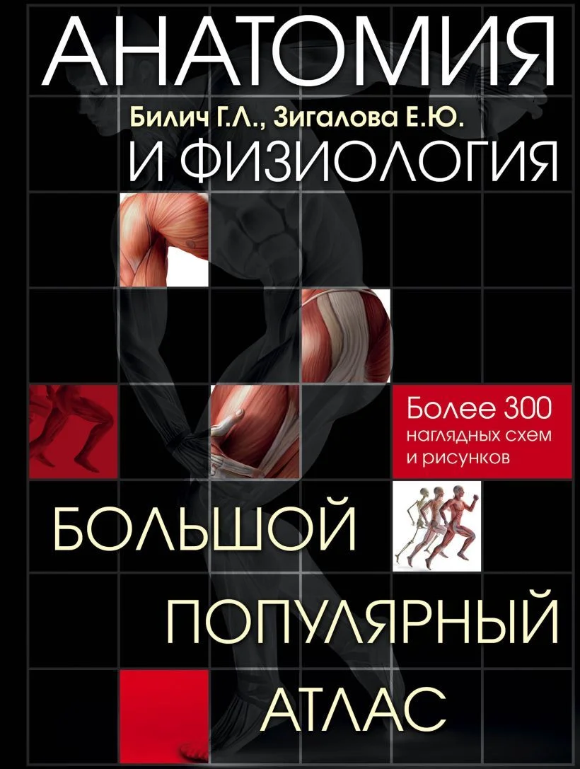 Книга издательства Эксмо. Анатомия и физиология. Большой популярный атлас (Билич Габриэль Лазаревич/Зигалова Елена Юрьевна)