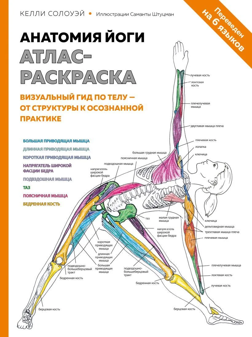 Книга издательства Эксмо. Анатомия йоги: атлас-раскраска. Визуальный гид по телу — от структуры к осознанной практике (Солоуэй Кейли)
