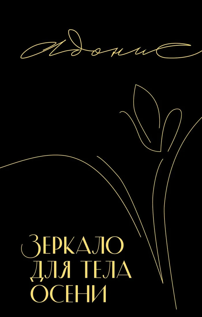 Книга издательства Inspiria. Зеркало для тела осени 9785041851651 (Адонис)