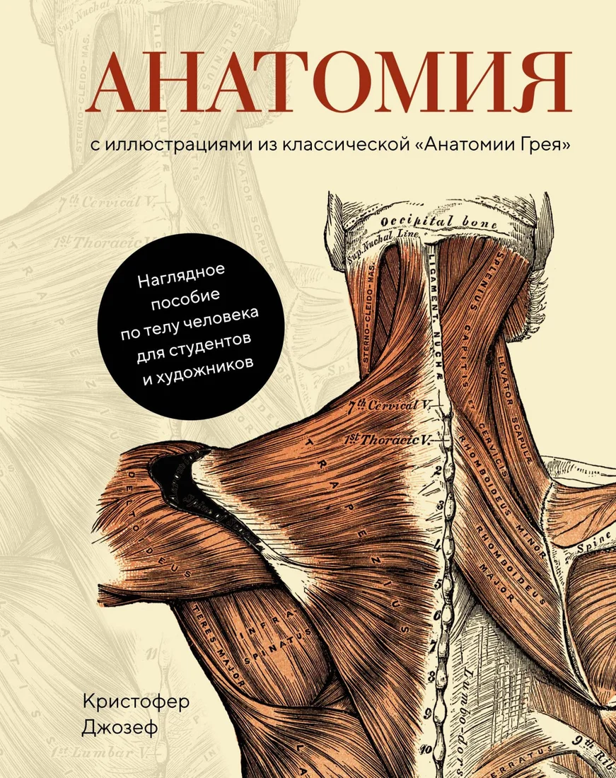 Книга издательства КоЛибри. Анатомия (Джозеф К.)