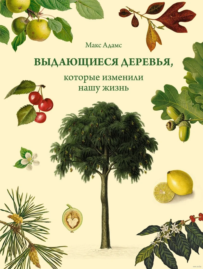 Книга издательства КоЛибри. Выдающиеся деревья, которые изменили нашу жизнь (Адамс М.)