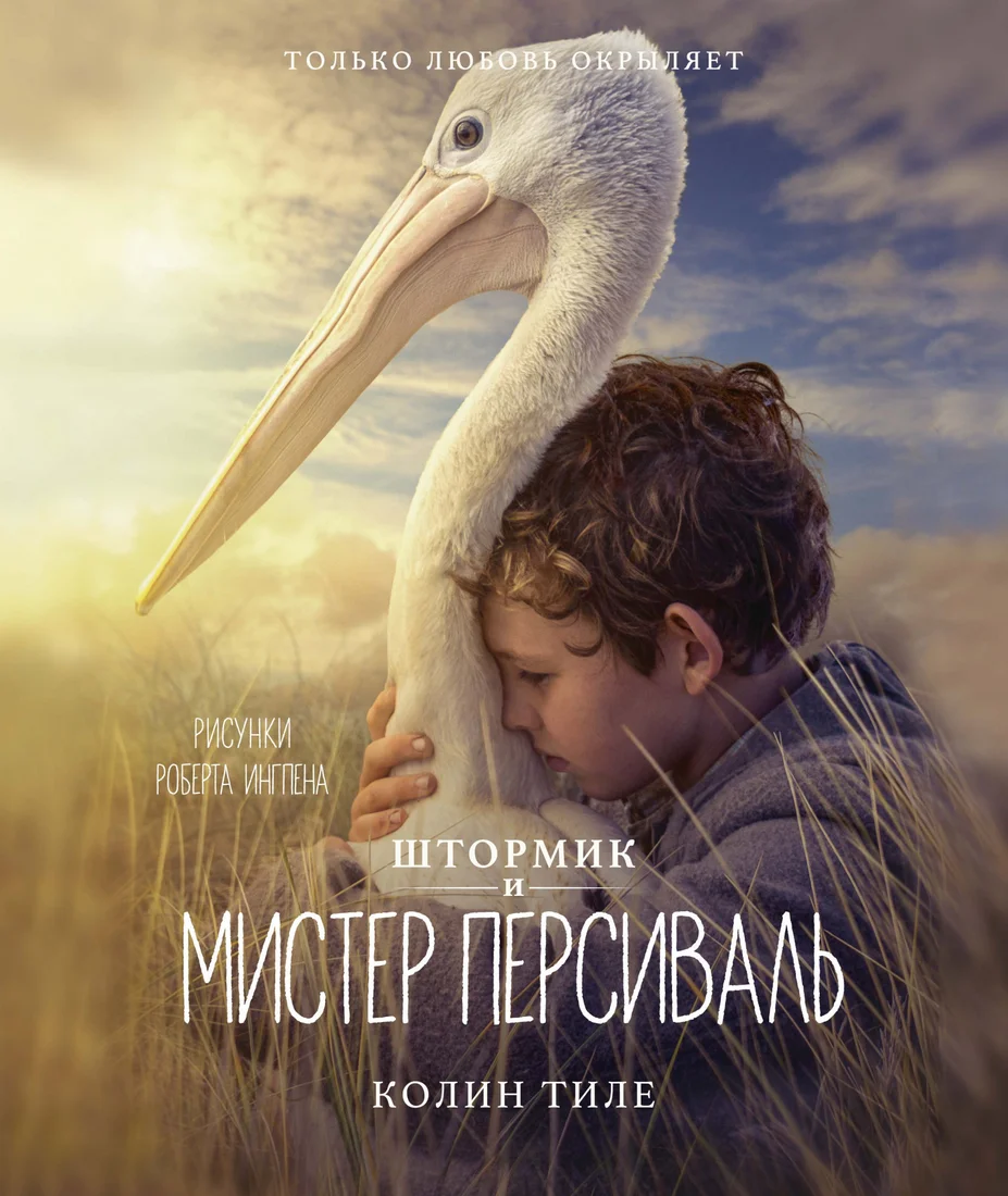 Книга издательства Махаон. Штормик и мистер Персиваль. Повесть (Тиле К.)