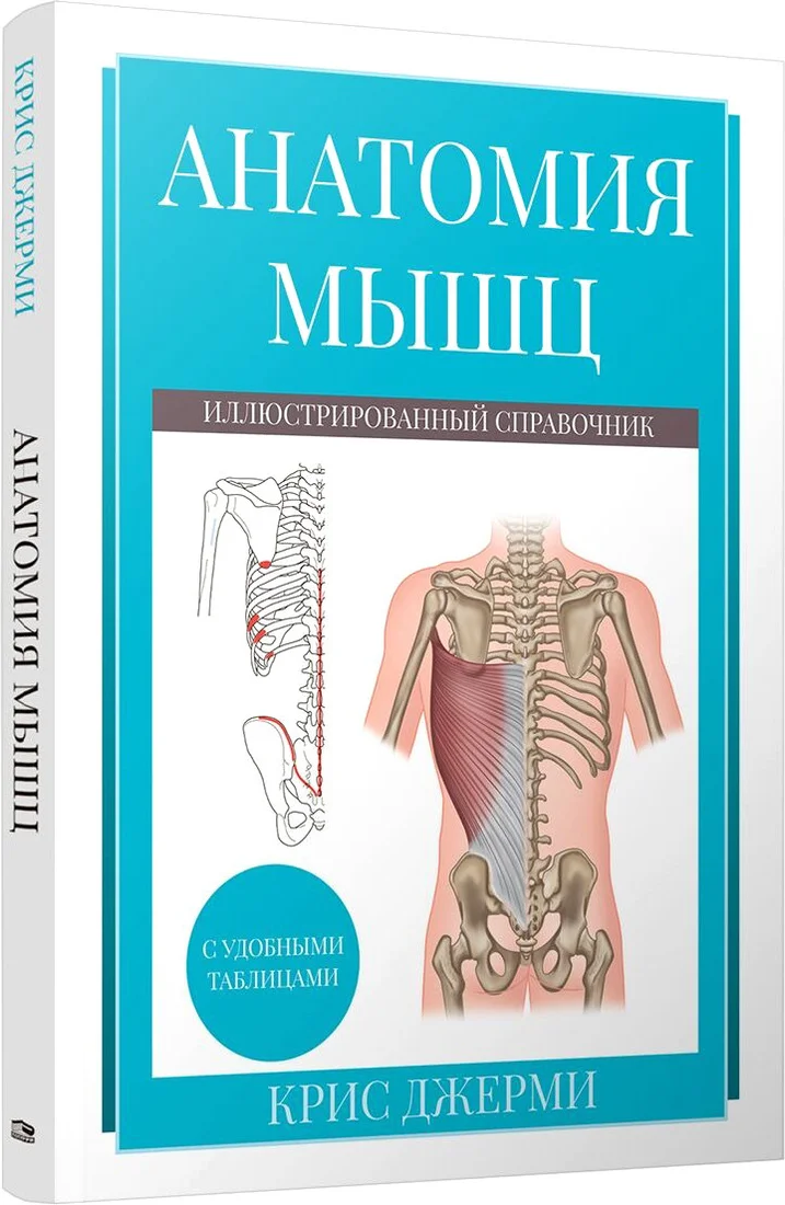 Книга издательства Попурри. Анатомия мышц: иллюстрированный справочник 9789851554719 (Джерми К.)