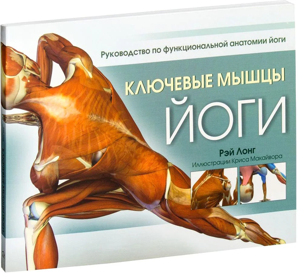 Книга издательства Попурри. Ключевые мышцы йоги (Лонг Р.)