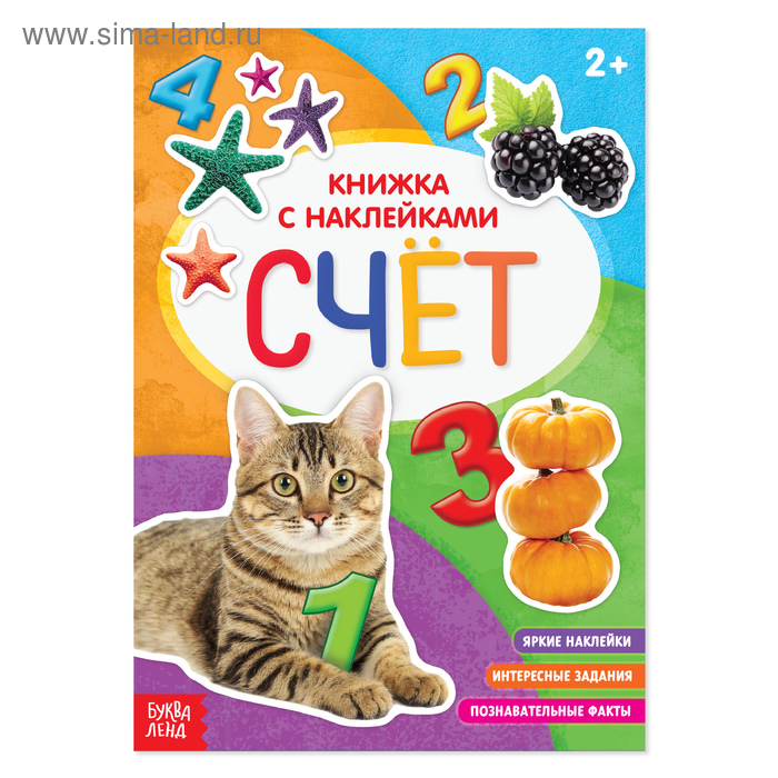 Книга с наклейками «Счёт», 12 стр.