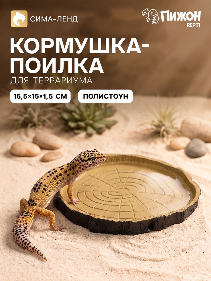 Кормушка - поилка для террариума, 16.5×15.5×1.5 см