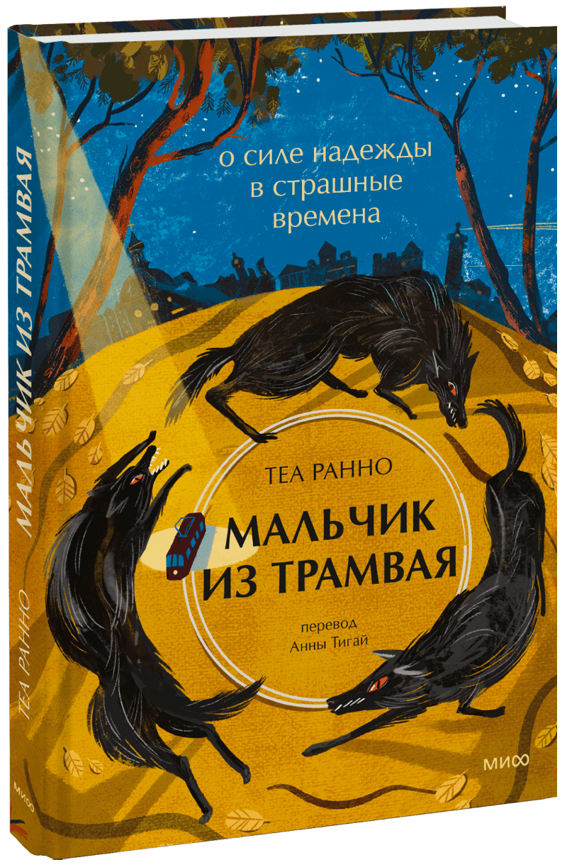 Мальчик из трамвая