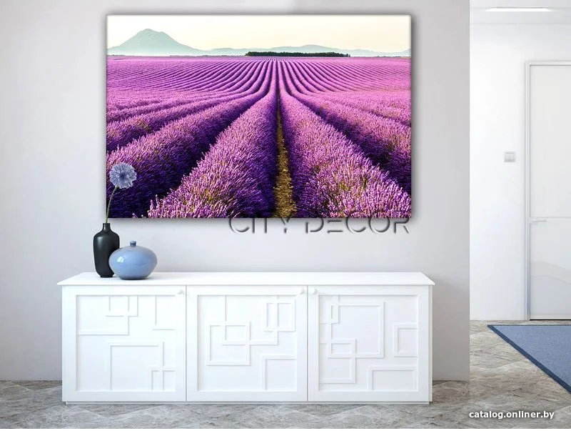 Модульная картина Citydecor Цветы/Растения 1.113 60x90 см
