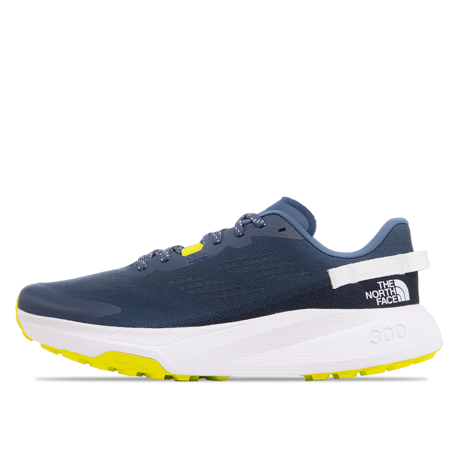 Мужские кроссовки The North Face Altamesa 300