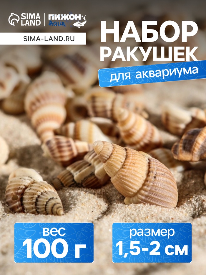 Набор ракушек 100 г
