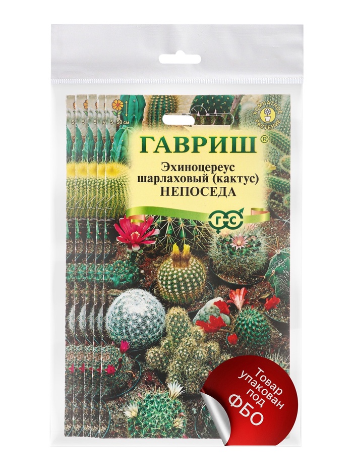 Набор семян комнатных Кактус «Непоседа», 5 шт.