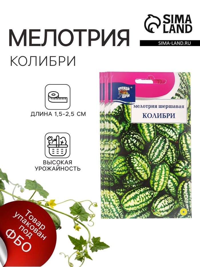 Набор семян Мелотрия шершавая «Колибри», 5 шт.