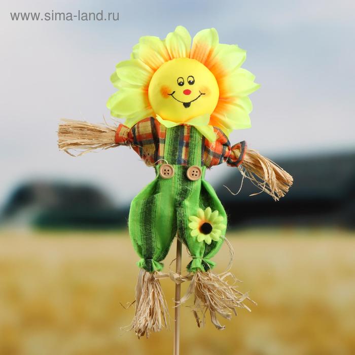 Огородное пугало «Солнце», 30 см, h=50 см, МИКС, Greengo