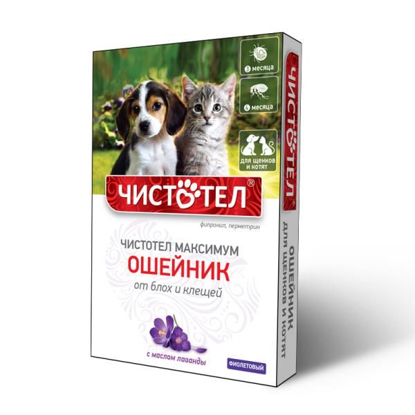 Ошейник для щенков и котят фиолетовый Чистотел Максимум Юниор