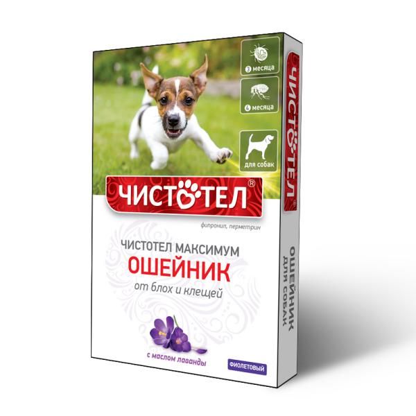 Ошейник для собак фиолетовый Чистотел Максимум 65 см
