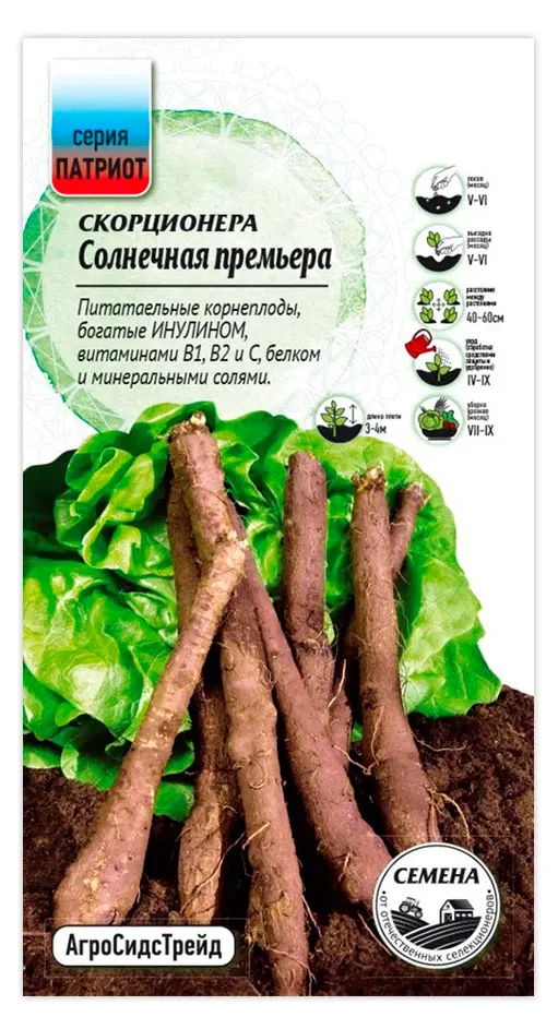 Семена АгроСидсТрейд Скорцонера Солнечная премьера, 0,5 г