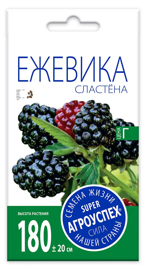 Семена Агроуспех Ежевика Сластена