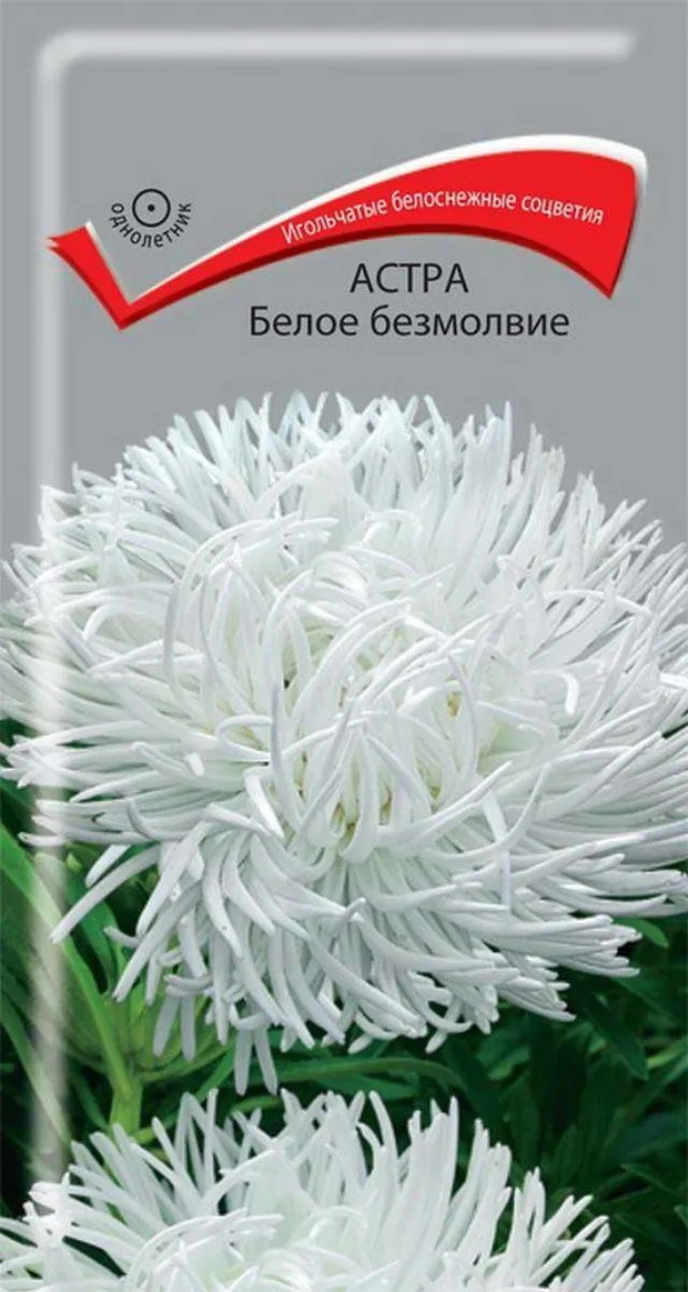 Семена Астра Поиск Белое безмолвие, 0.3 г