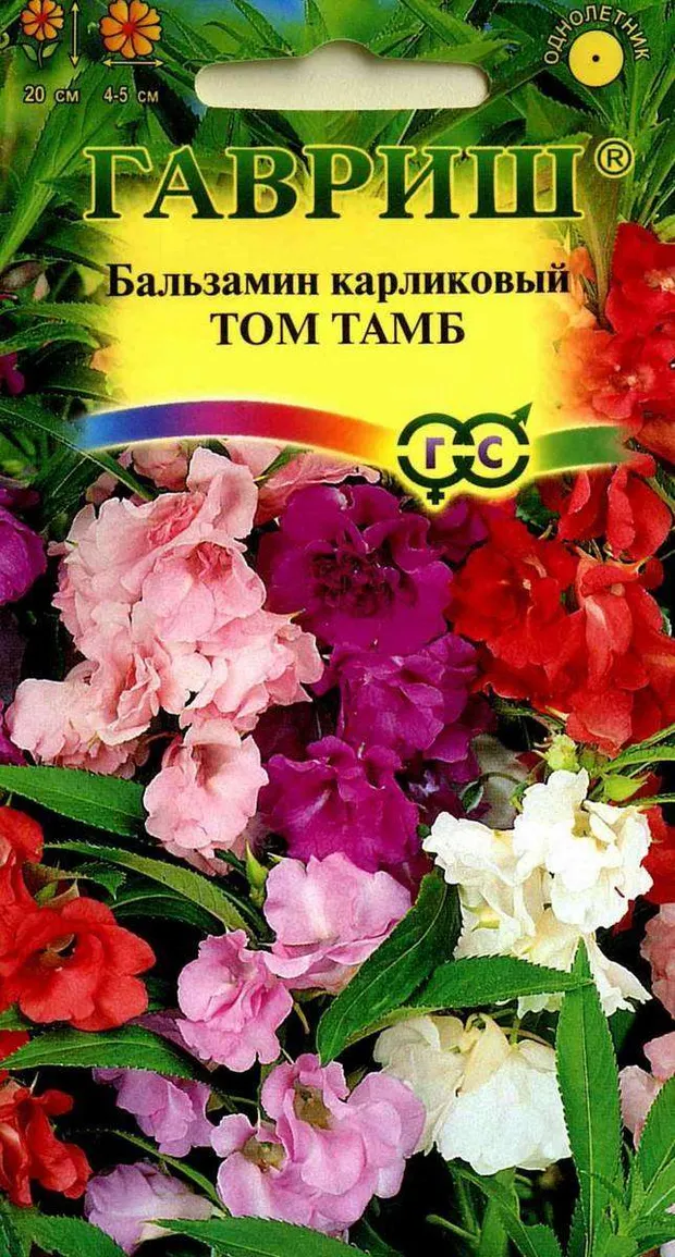 Семена Бальзамин Гавриш Том Тамб карликовый, 0,1 г
