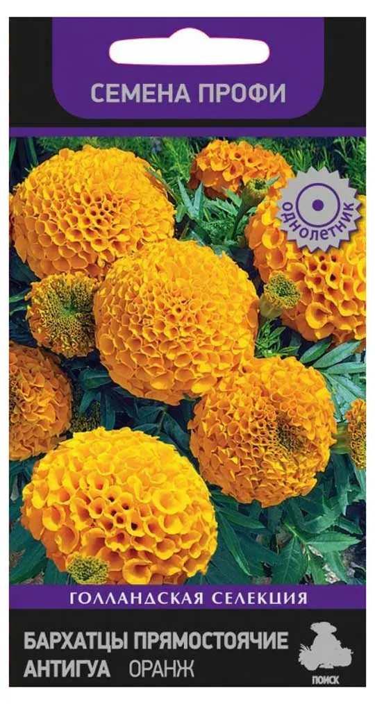 Семена Бархатцы антигуа Поиск Оранж, 15 шт
