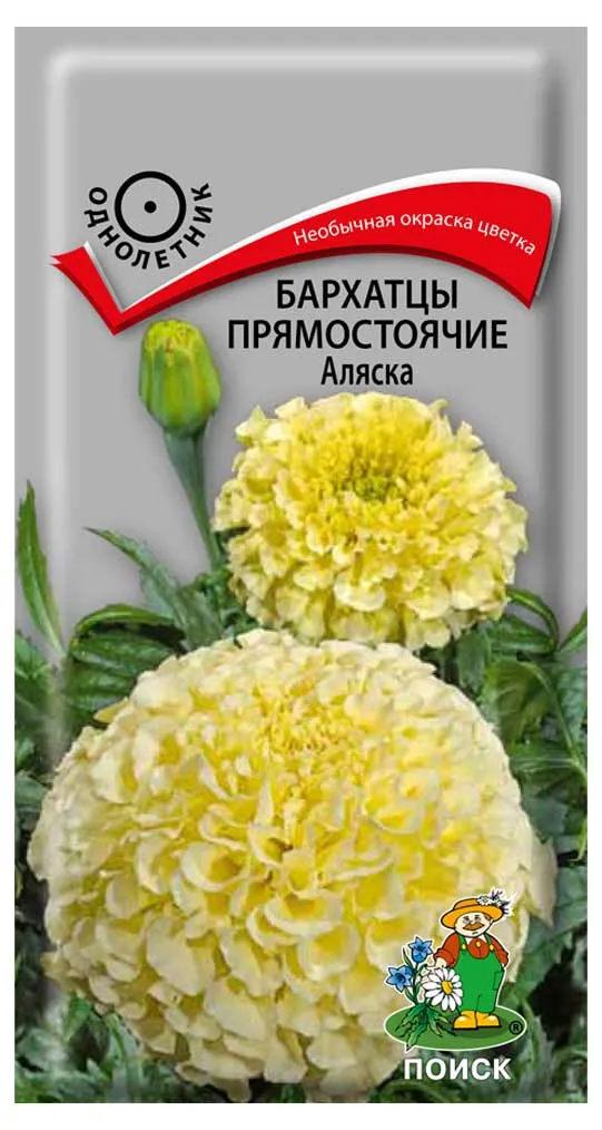 Семена Бархатцы прямостоячие Поиск Аляска, 0,4 г