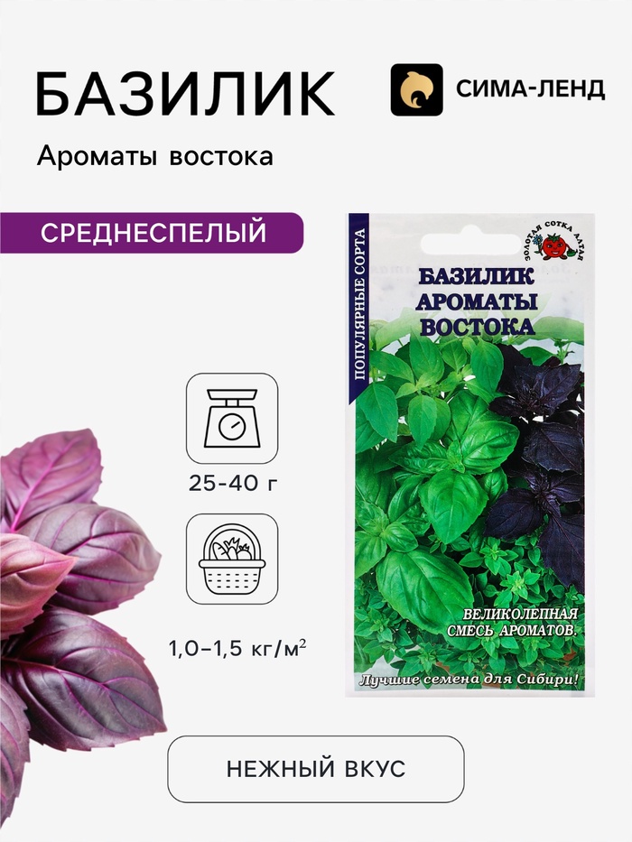 Семена Базилик «Ароматы Востока», смесь, 0.5 г, фиолетовый + зелёный, «Золотая Сотка Алтая»