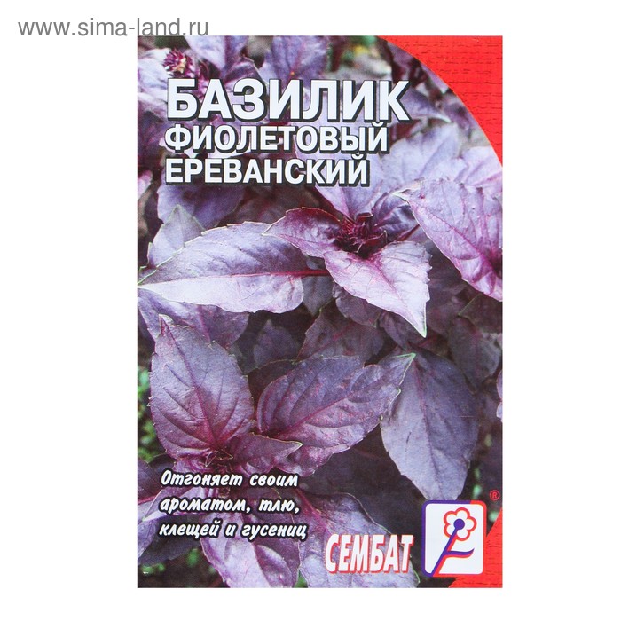 Семена Базилик фиолетовый «Ереванский», 0.2 г, «Сембат»