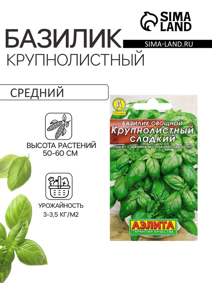 Семена Базилик овощной «Крупнолистный сладкий», 0.2 г, «Аэлита»