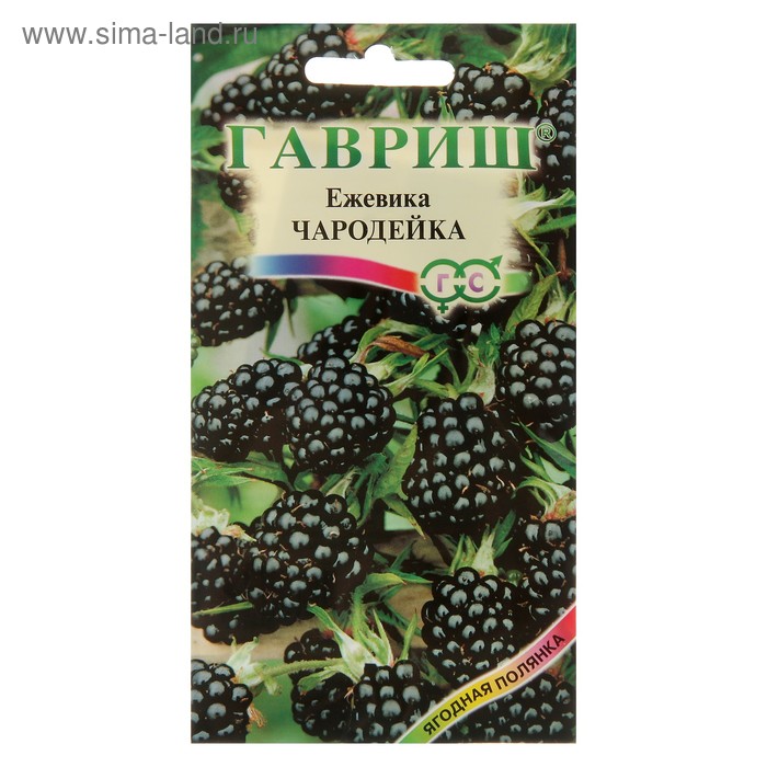 Семена Ежевика «Чародейка», 10 шт., «Гавриш»