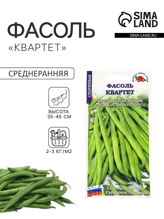 Семена Фасоль спаржевая «Квартет», 3 г, кустовая, «Золотая Сотка Алтая»