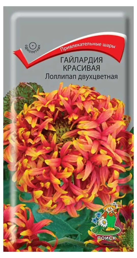Семена Гайлардия Поиск Лоллипап красивая двухцветная, 0,1 г