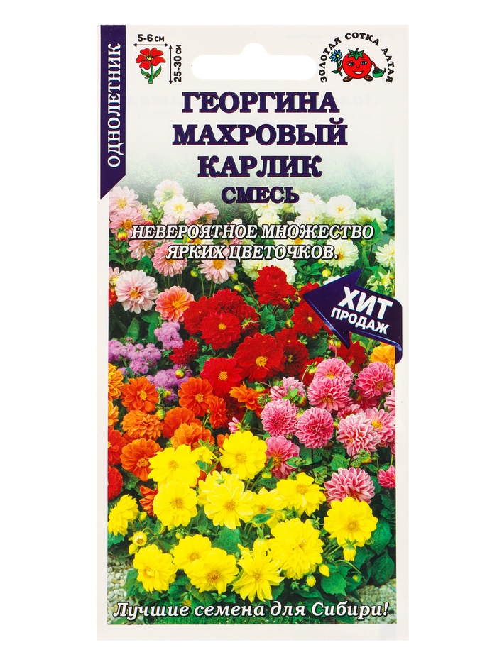 Семена Георгина «Махровый карлик смесь», 0.2 г, «Золотая Сотка Алтая»