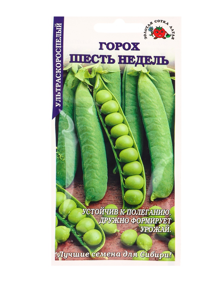 Семена Горох «Шесть недель», 10 г, «Золотая Сотка Алтая»
