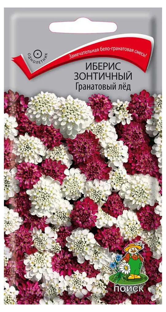 Семена Иберис Поиск Зонтечный гранатовый лед, 0,1 г