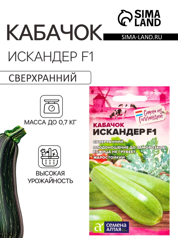 Семена Кабачок «Искандер», F1, 5 шт., «Семена Алтая»