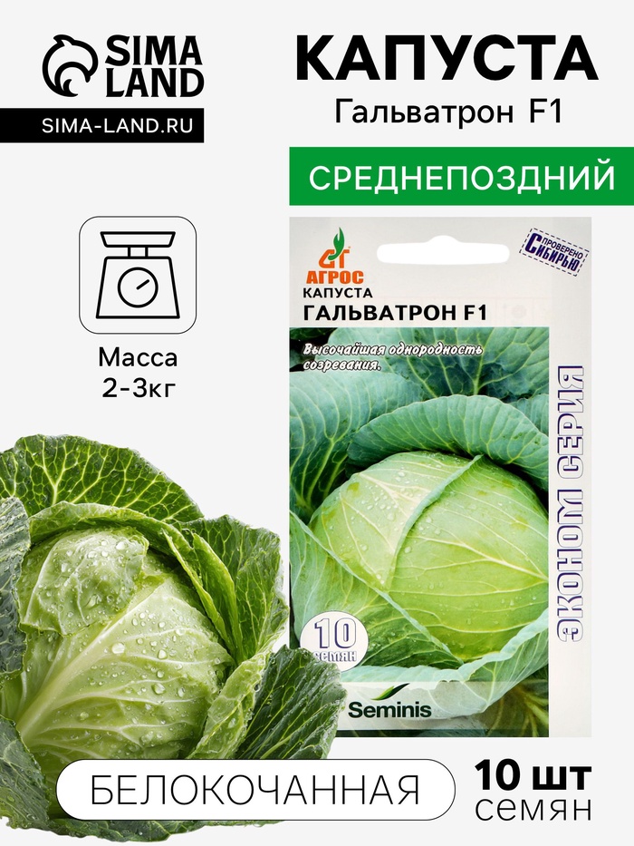 Семена Капуста белокочанная, «Гальватрон», F1, 10 шт., Seminis, «Агрос»
