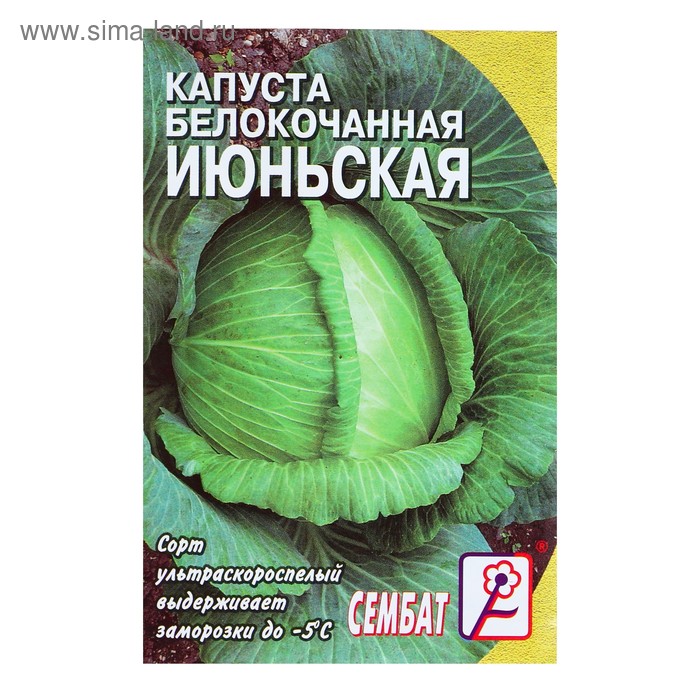 Семена Капуста белокочанная «Июньская», 0.5 г, «Сембат»